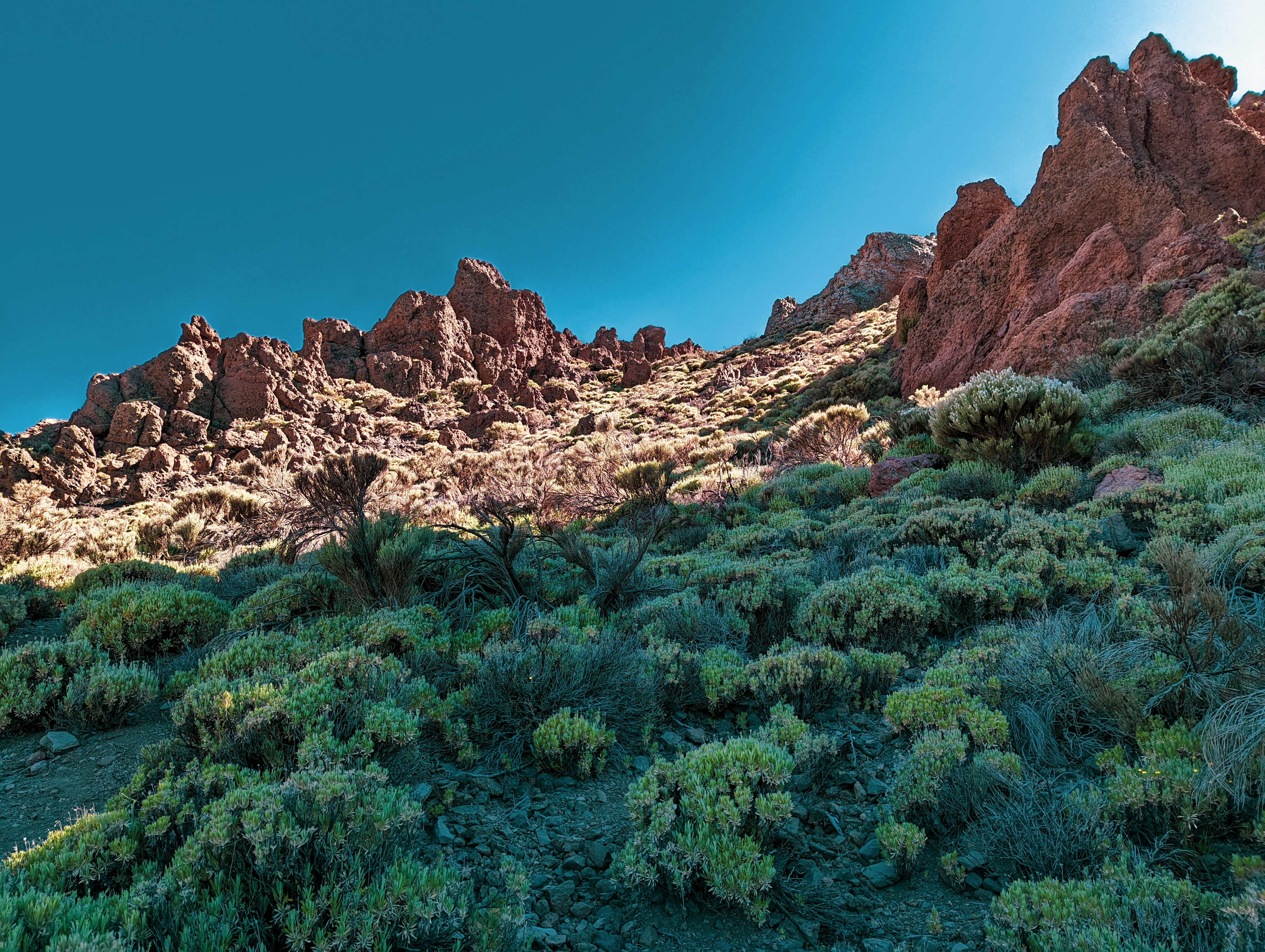 a rocky mountain with green plants growing on it