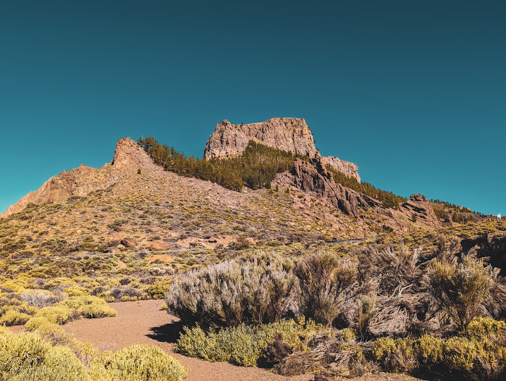 a very tall mountain with a few trees on top of it