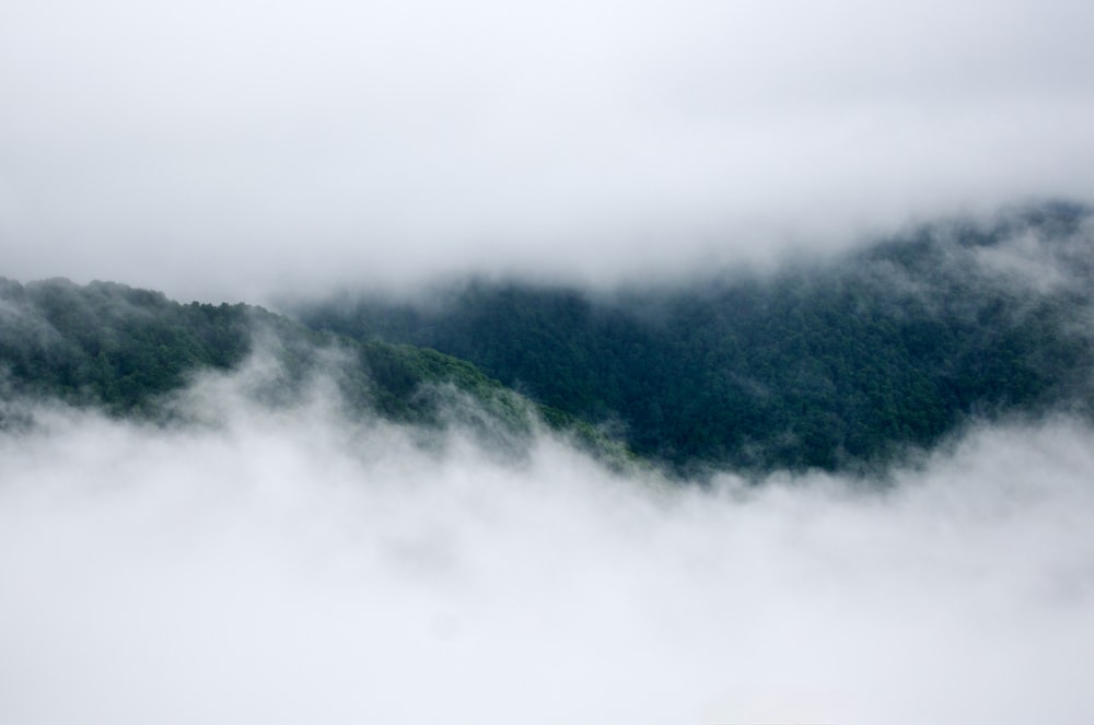 a mountain covered in fog and low lying clouds