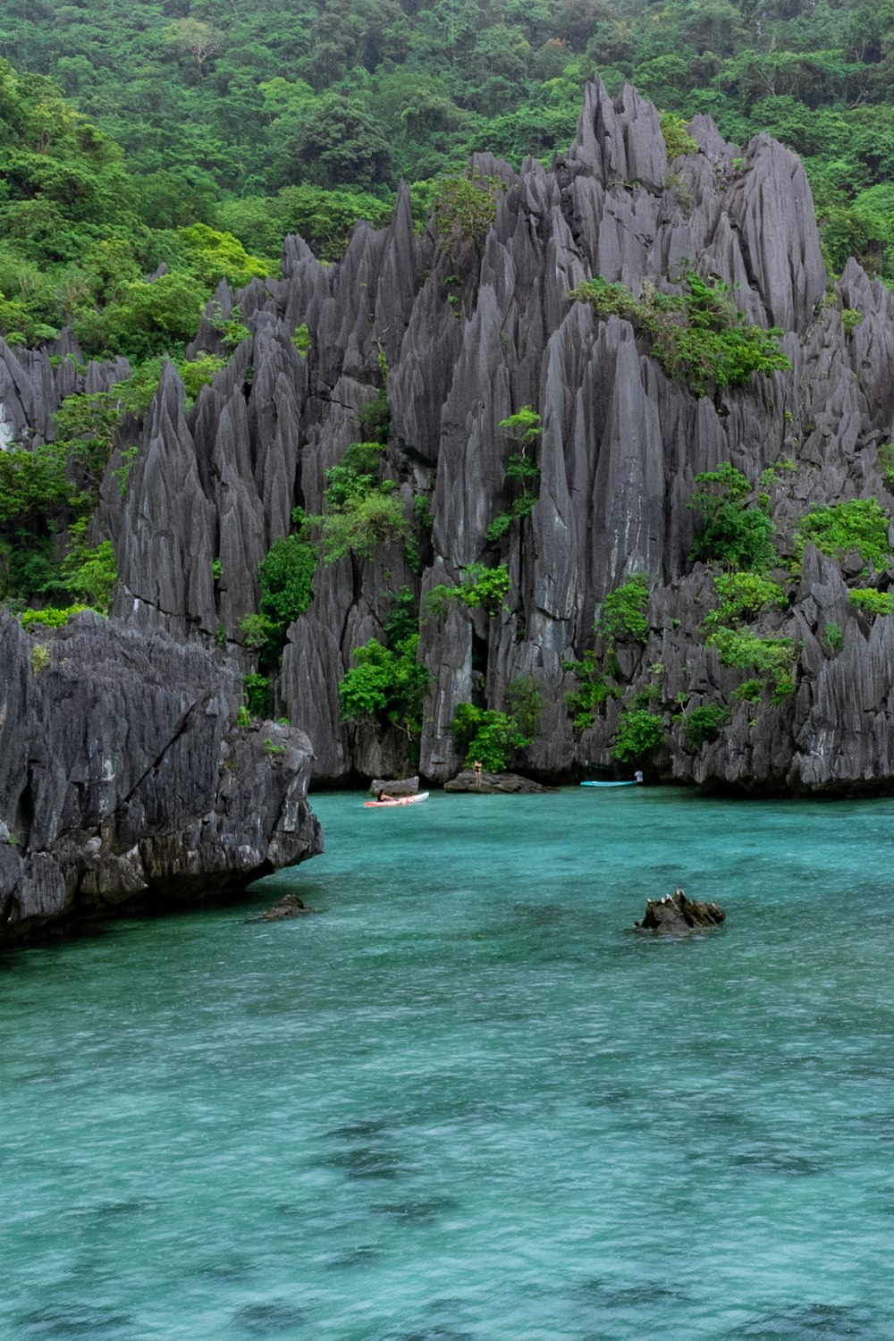 a body of water surrounded by mountains and trees