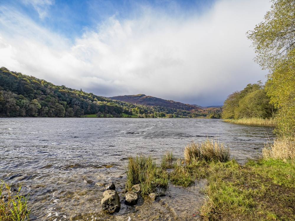 a body of water surrounded by a lush green hillside