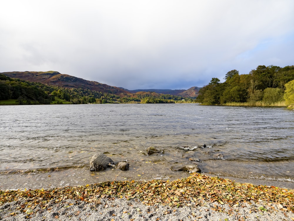 a large body of water surrounded by trees