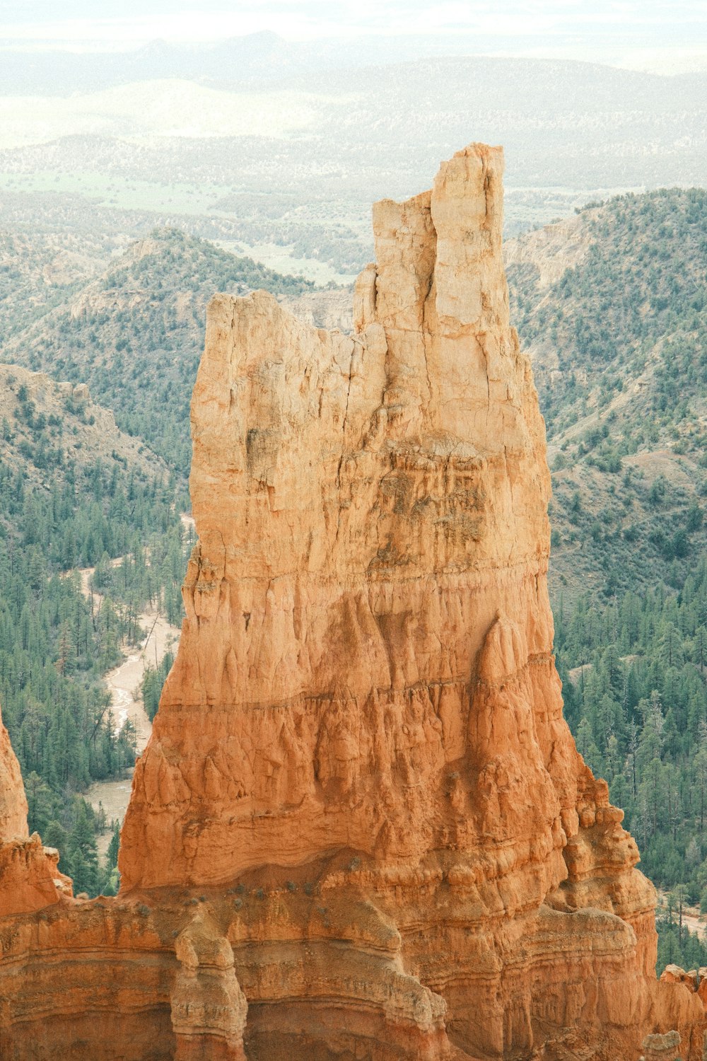 une grande formation rocheuse au milieu d’une forêt