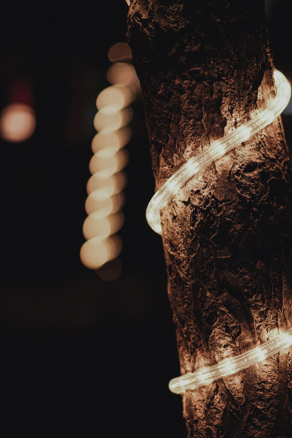 a close up of a tree with lights in the background