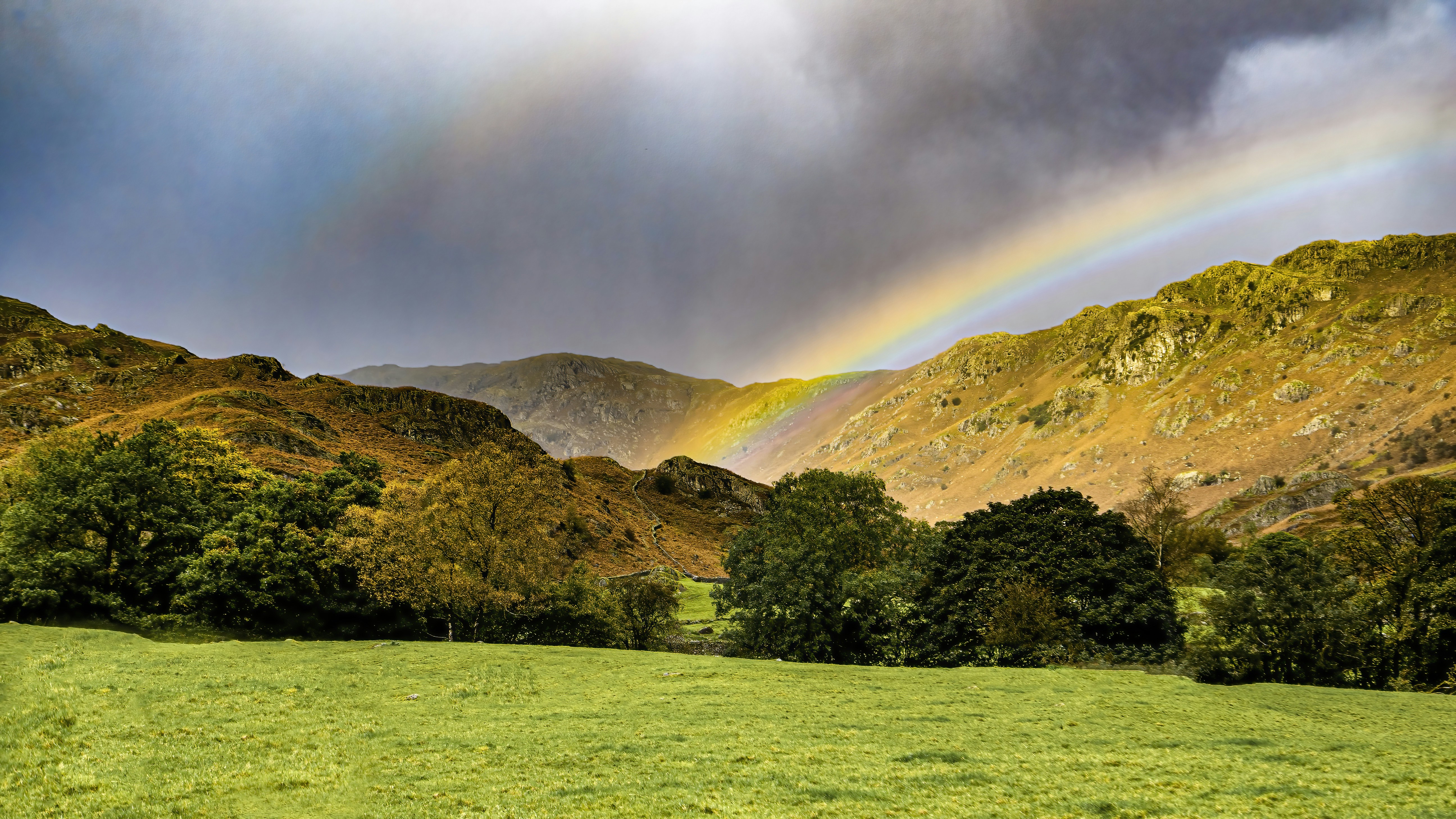 Ein Regenbogen am Himmel über einem saftig grünen Feld