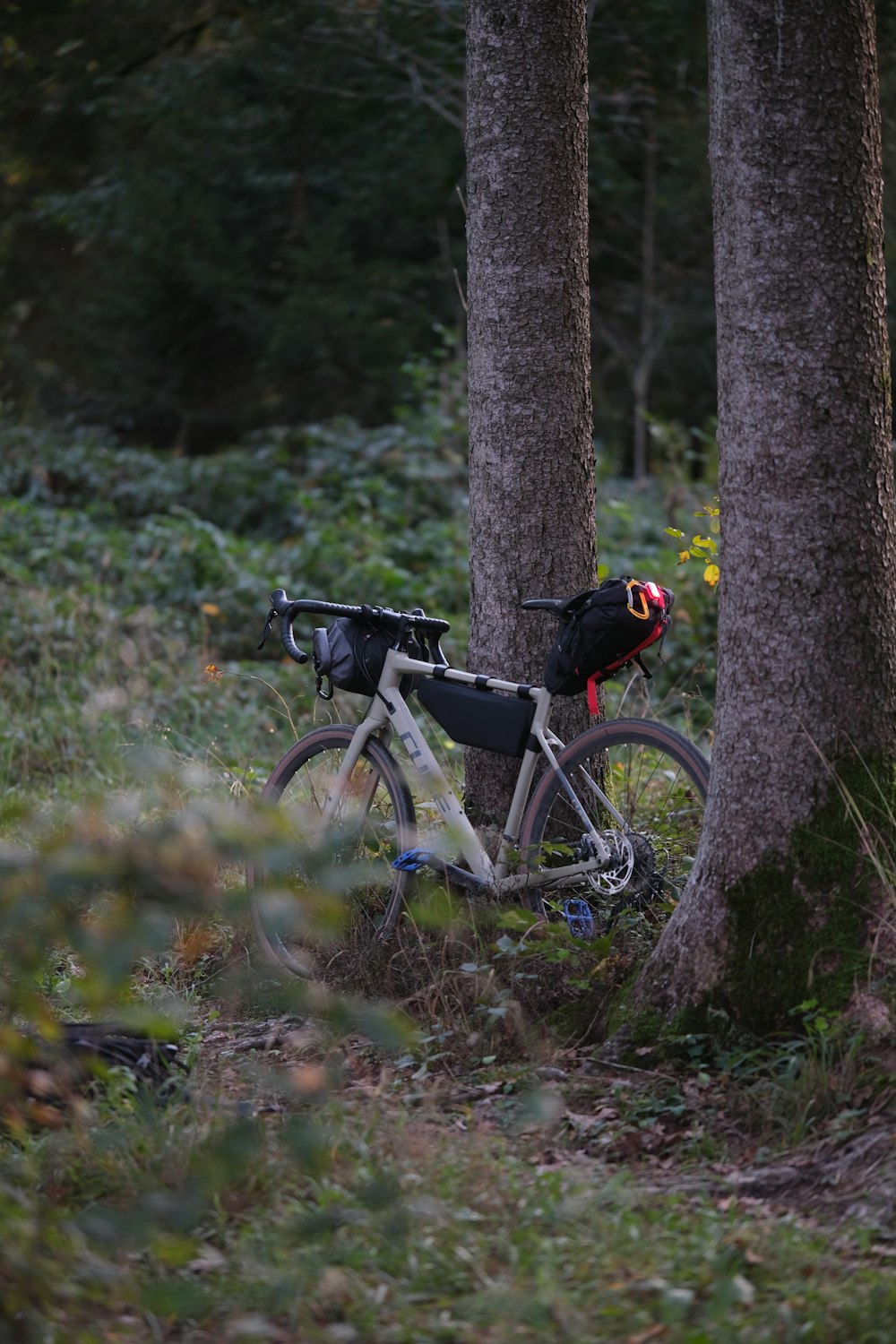 a bike is parked in the middle of a forest