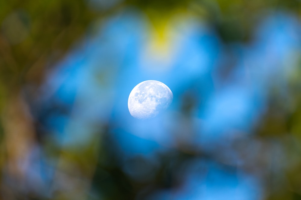 a full moon is seen through the trees