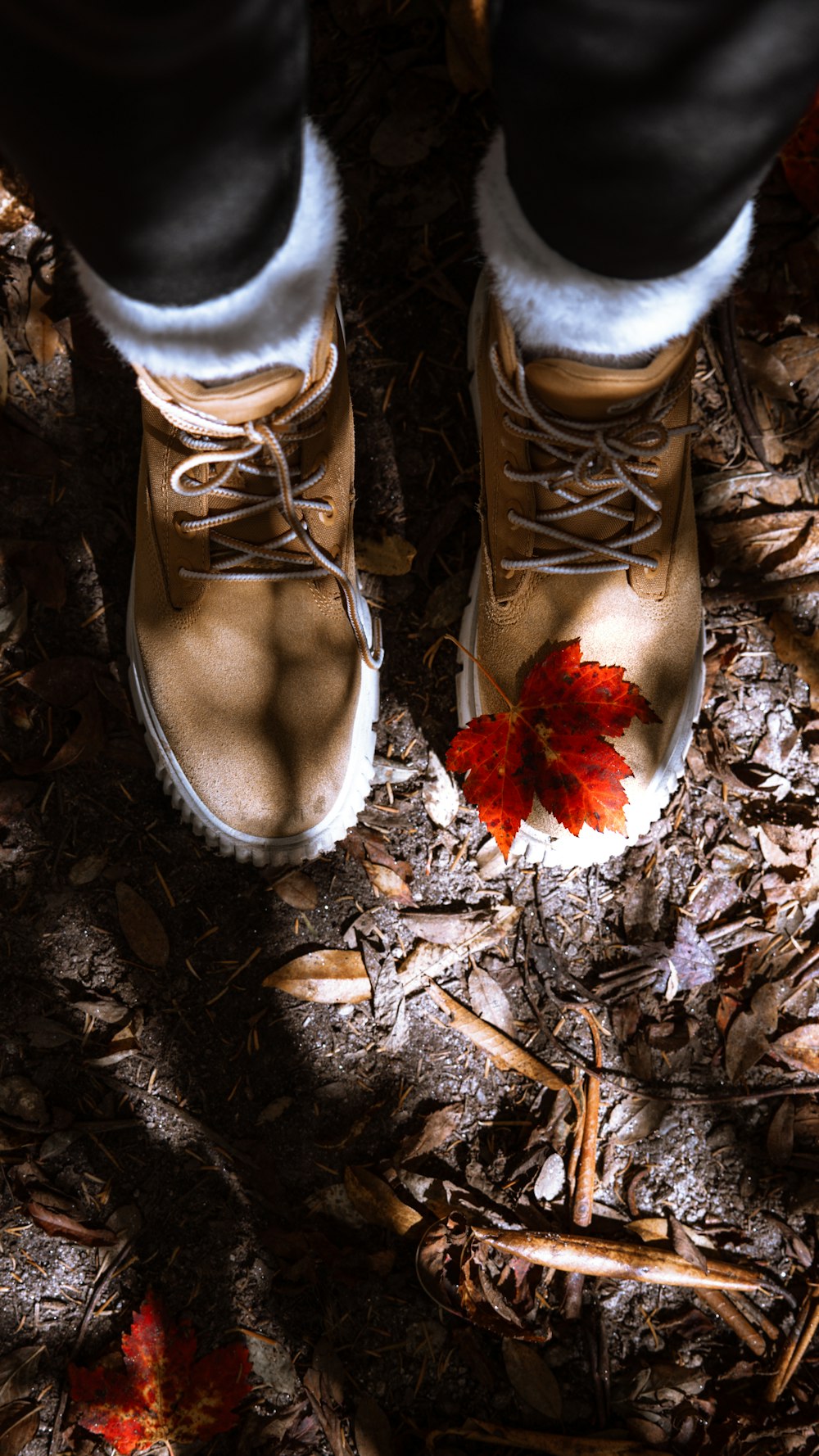 a pair of shoes with a leaf on the ground