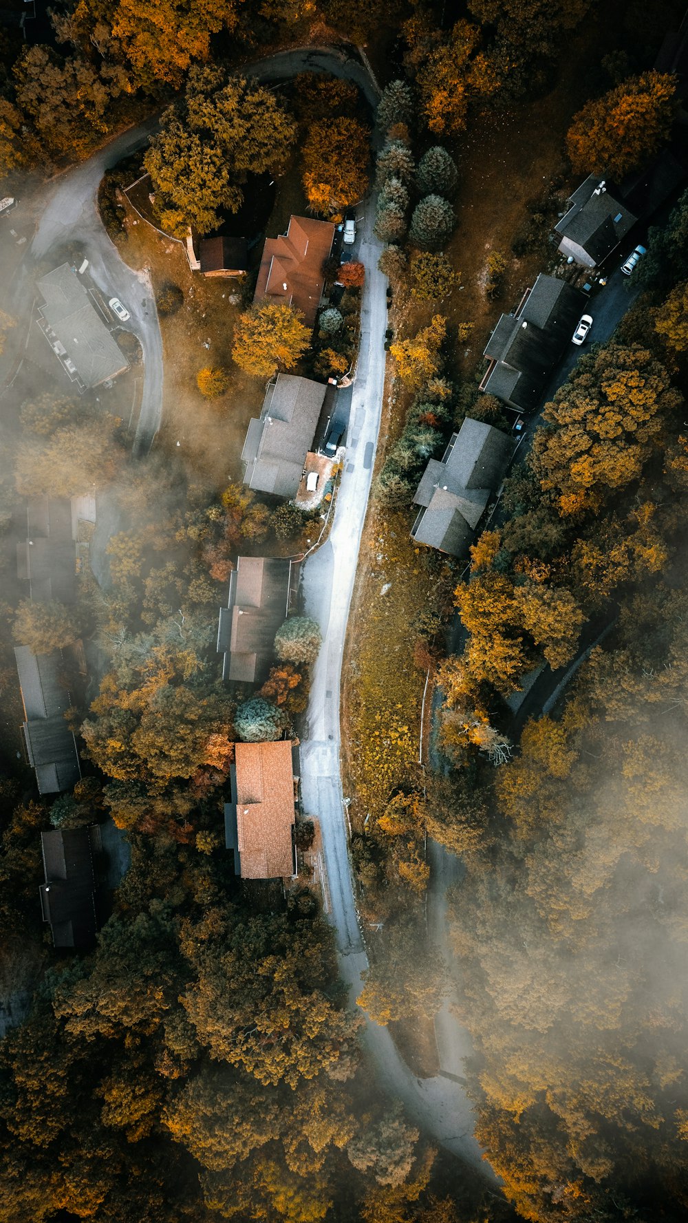 an aerial view of houses in the woods