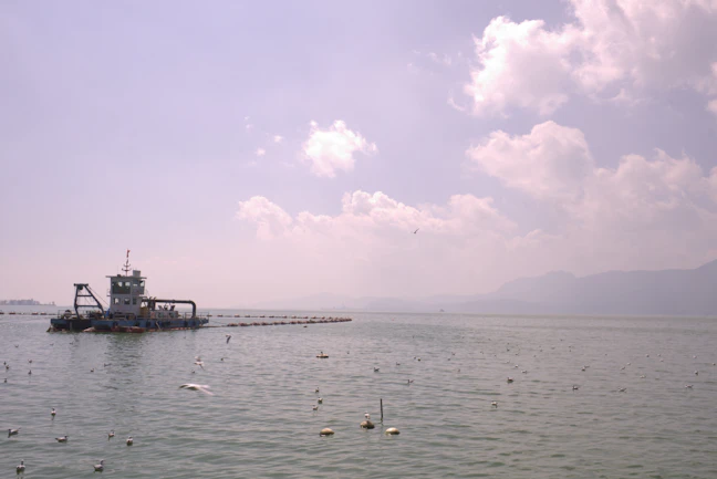 5-Day Kunming Family Itinerary: Relaxed & Kid-Friendly