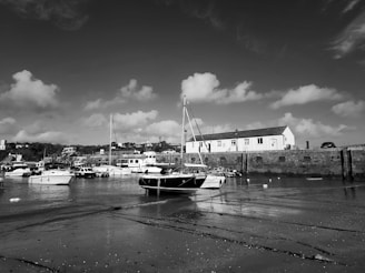A serene view of a harbor with boats docked.