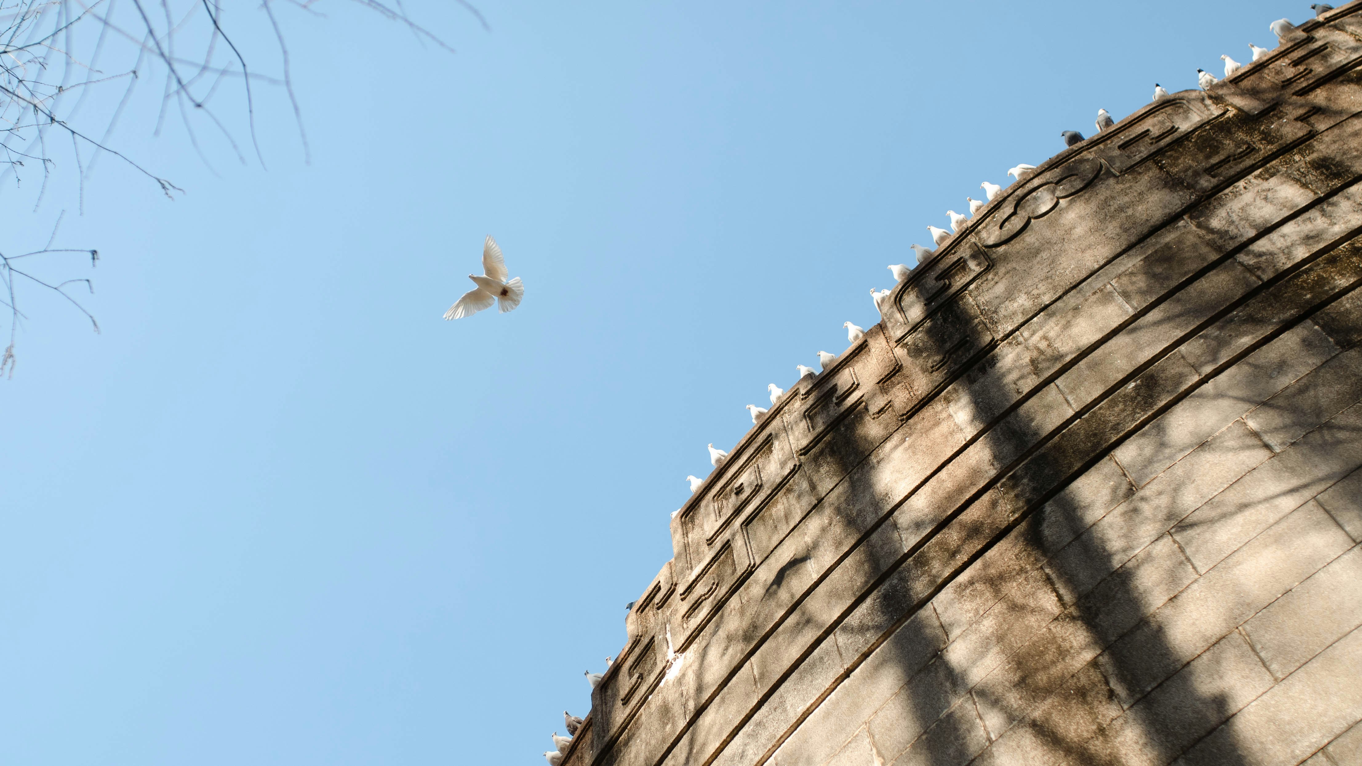 Photo by haydenlllam