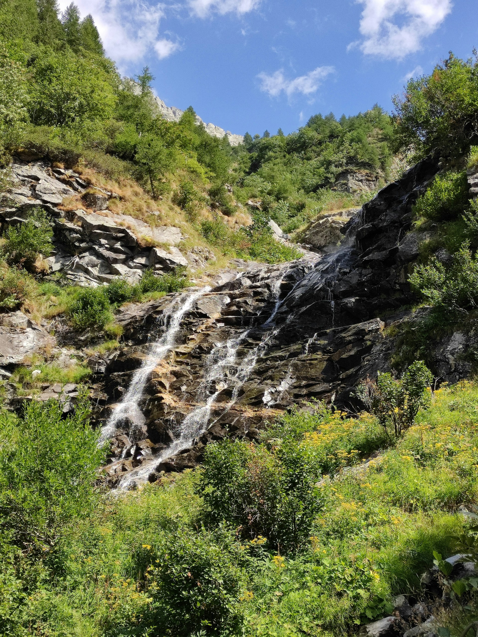 woman wearing yellow long-sleeved dress under white clouds and blue sky during daytime