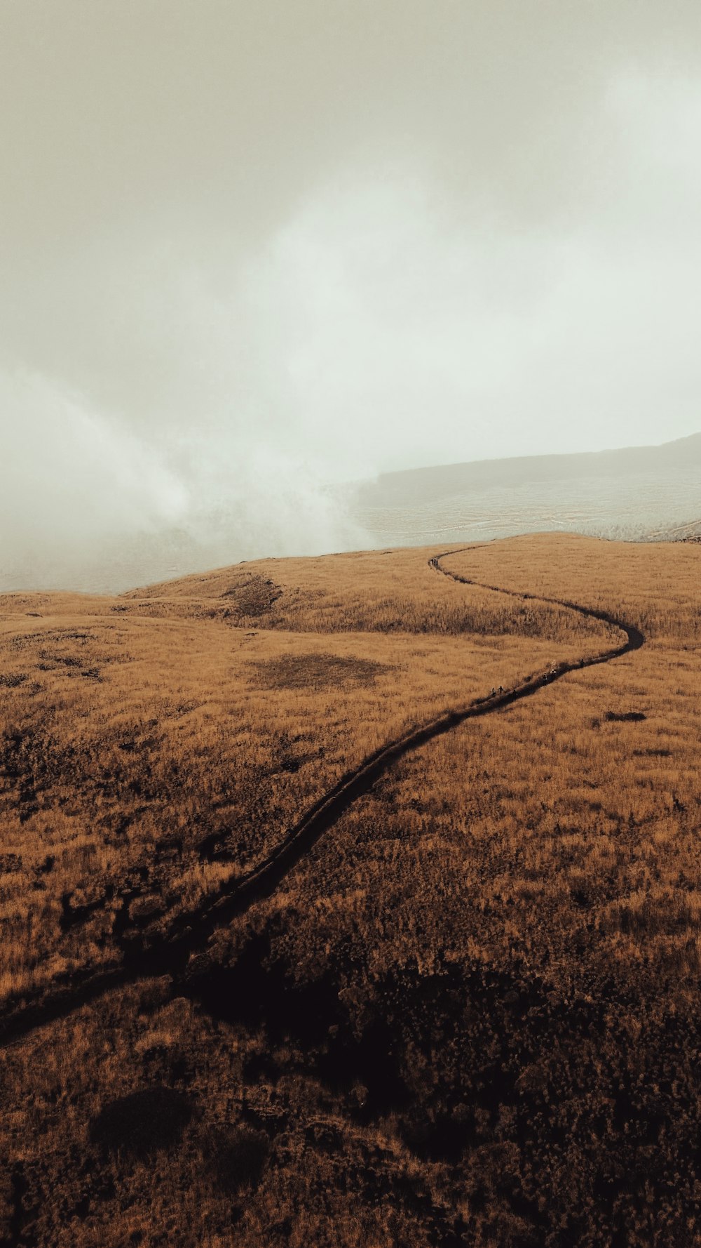 a dirt road winding through a dry grass field