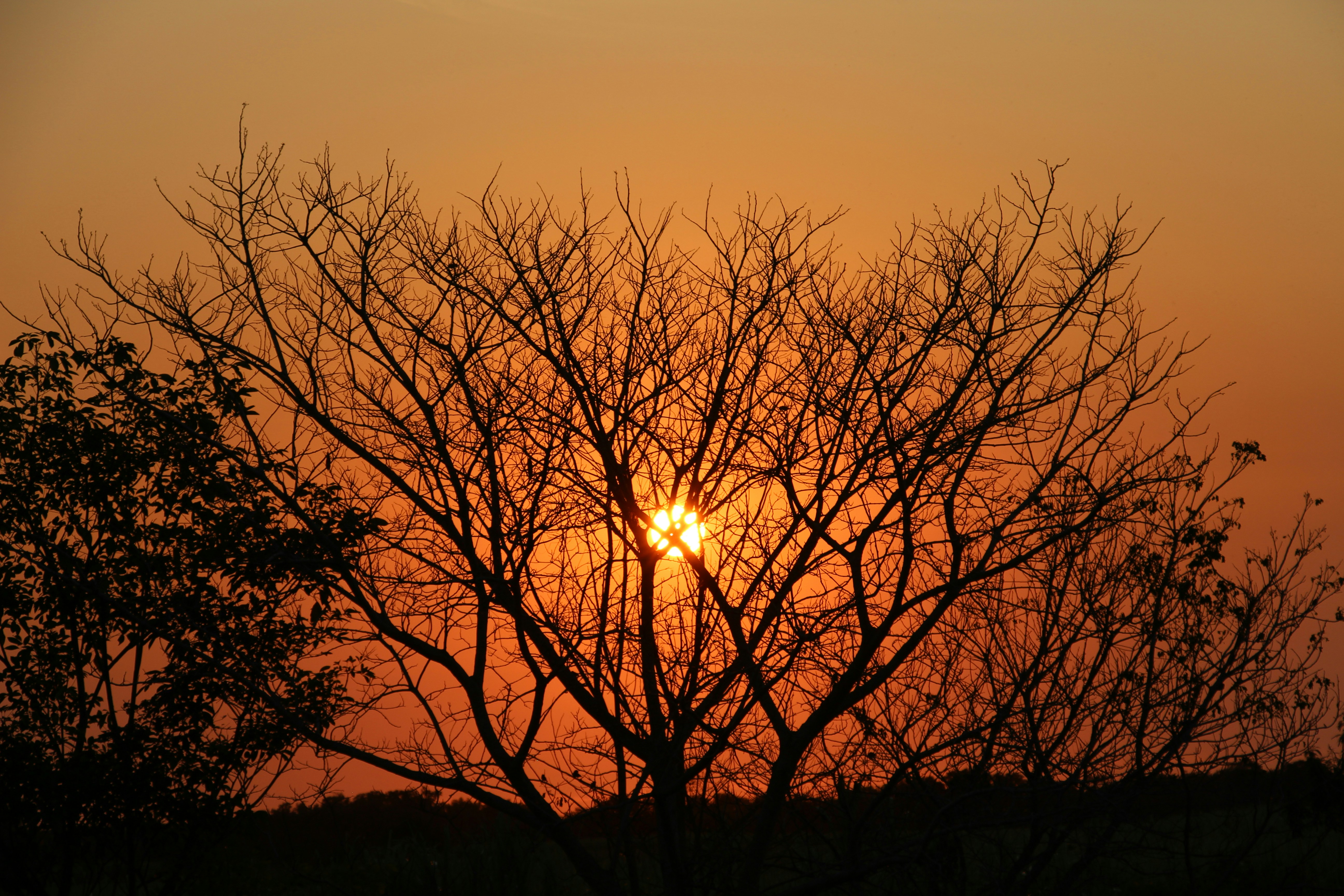 Photo by langatkevin