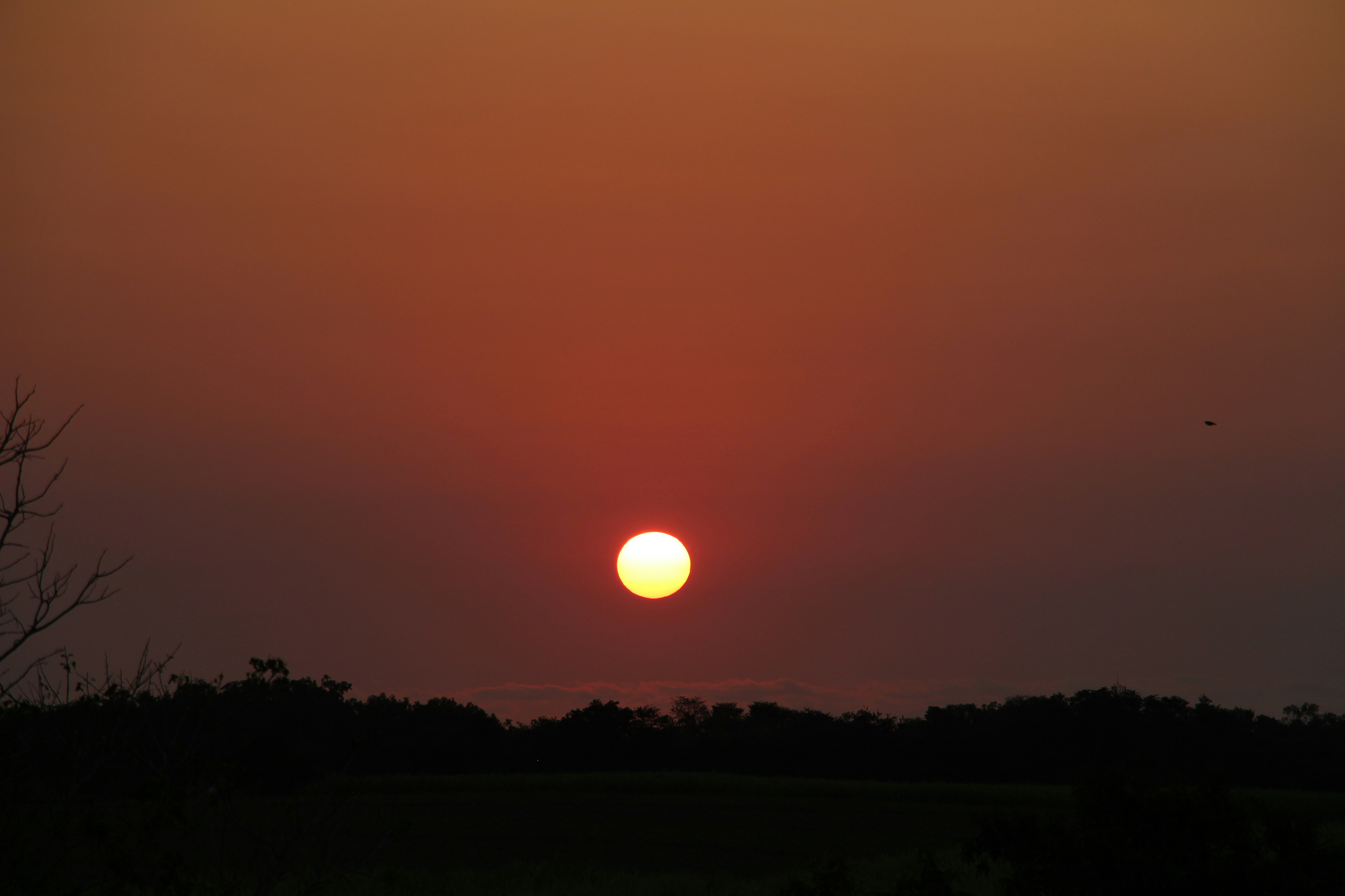 Photo by langatkevin