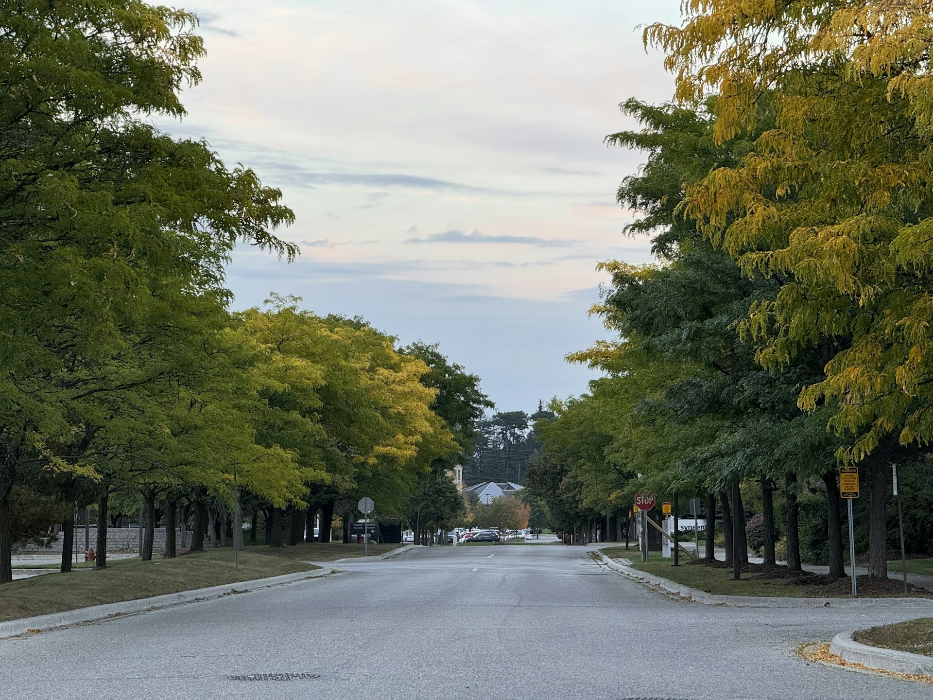woman wearing yellow long-sleeved dress under white clouds and blue sky during daytime