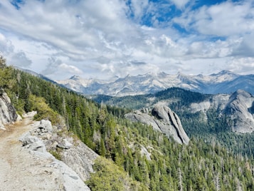 A breathtaking landscape featuring a rugged mountain terrain with expansive forests of evergreen trees stretching across rocky slopes. The majestic mountains in the background are capped with patches of snow, under a partly cloudy sky that casts soft shadows on the landscape. A narrow trail winds along the edge of one of the cliffs, inviting exploration.