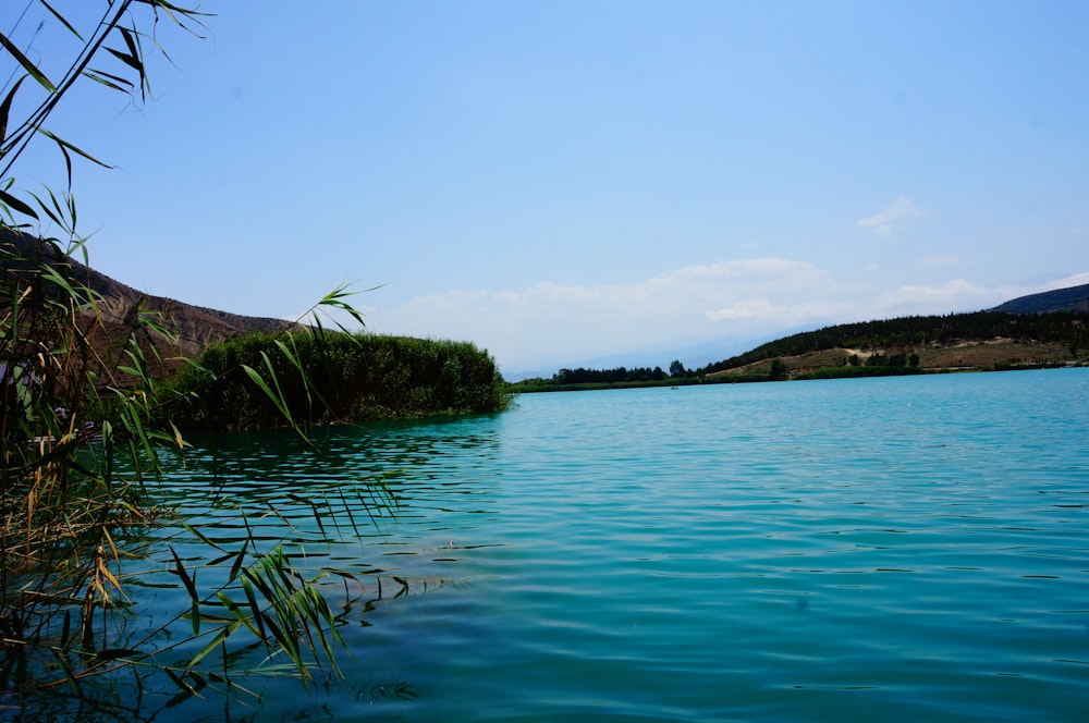 a body of water surrounded by a lush green hillside