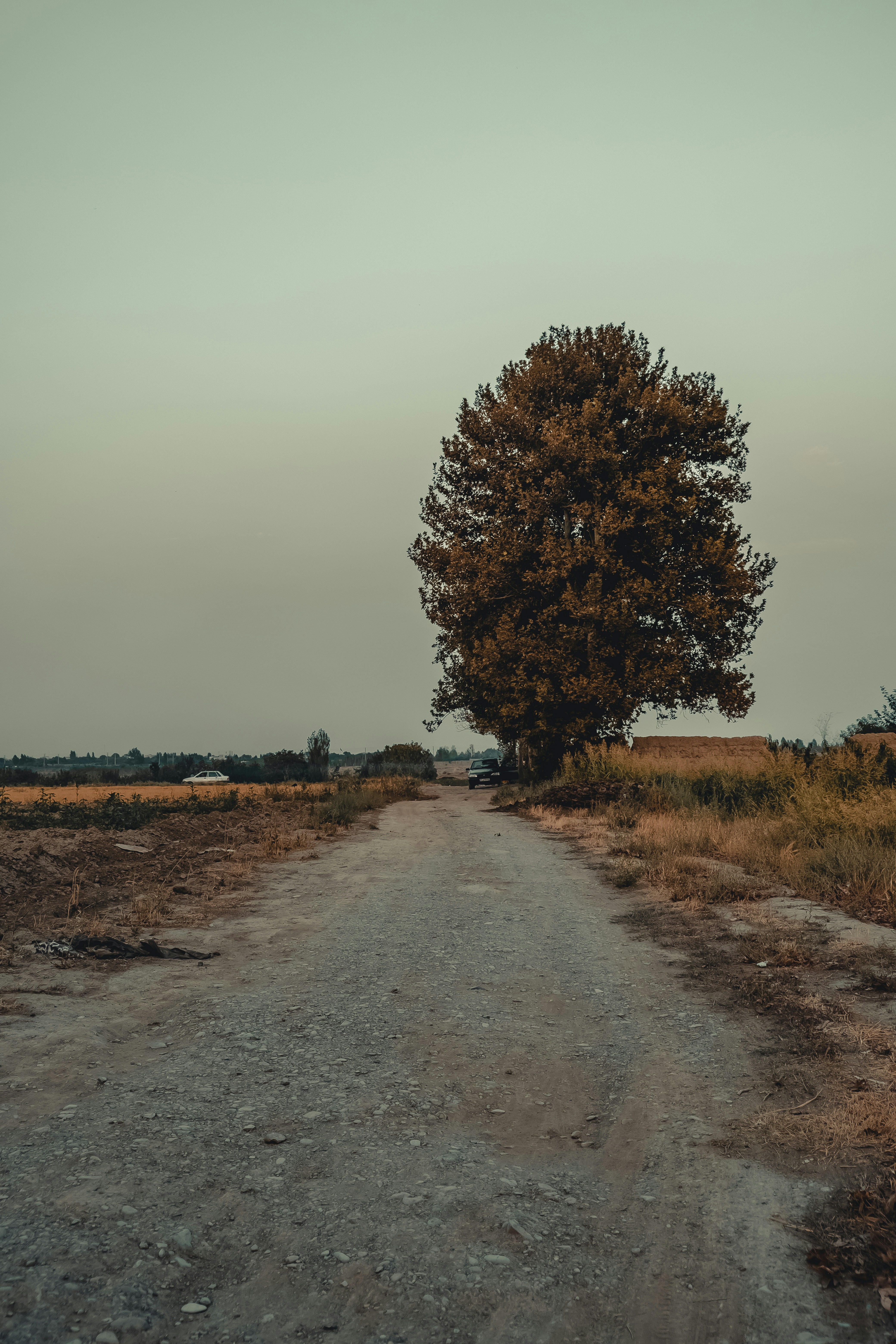 Photo by sajadnori