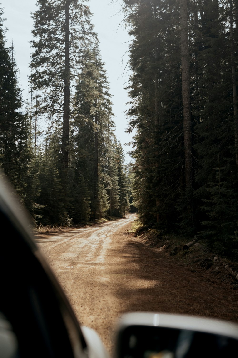 a car driving down a dirt road through a forest