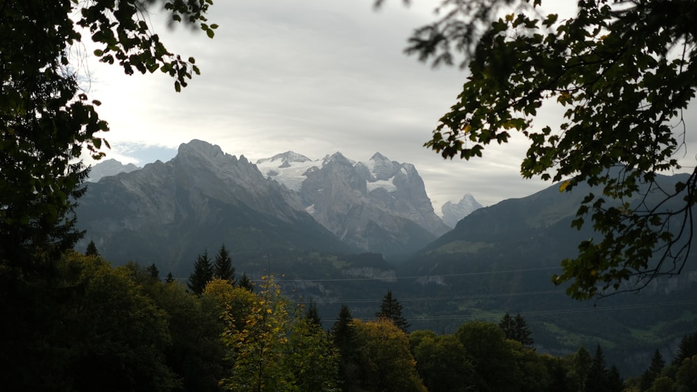 a view of a mountain range with trees in the foreground