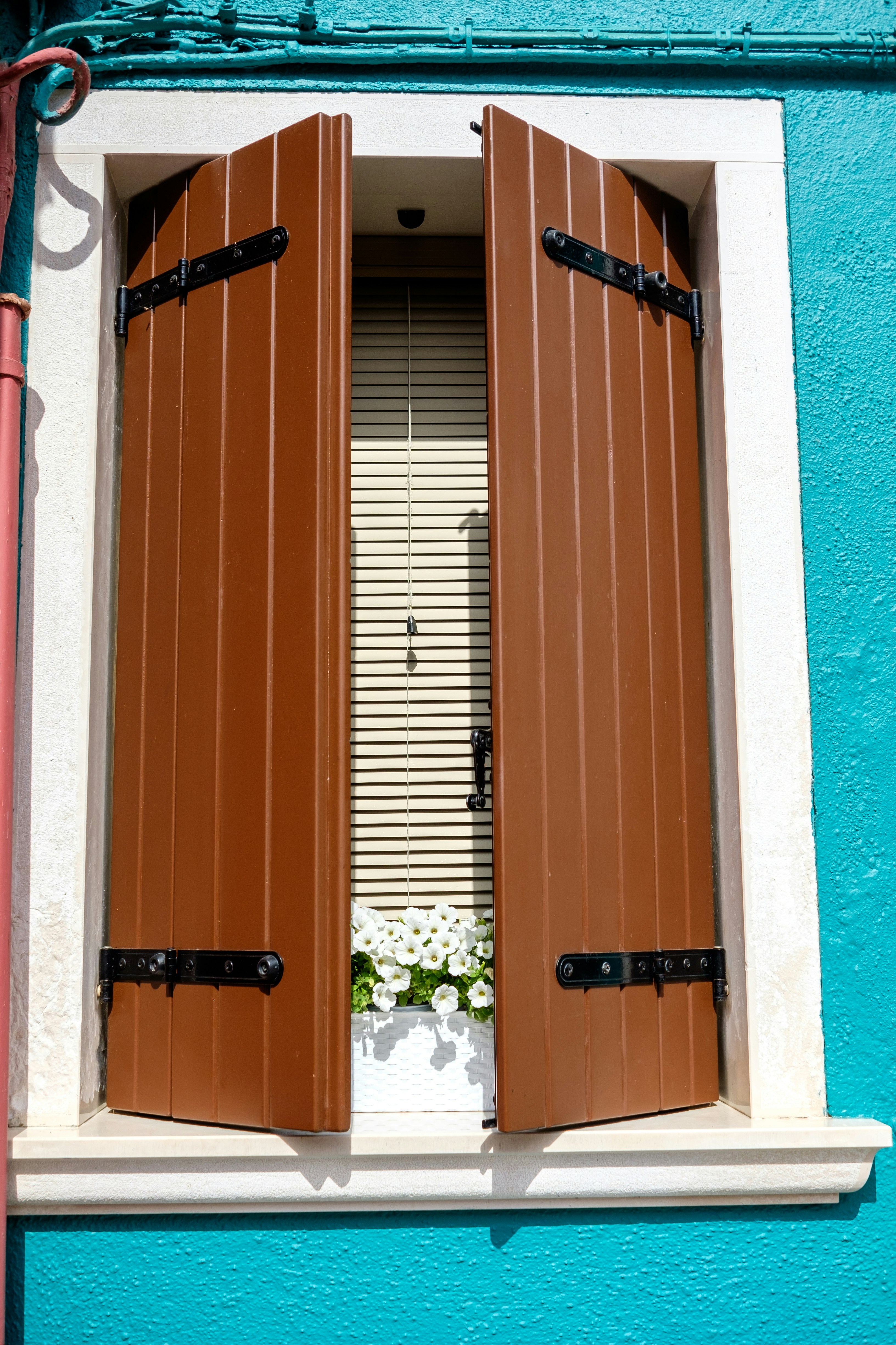 Photo by mayumimaciel