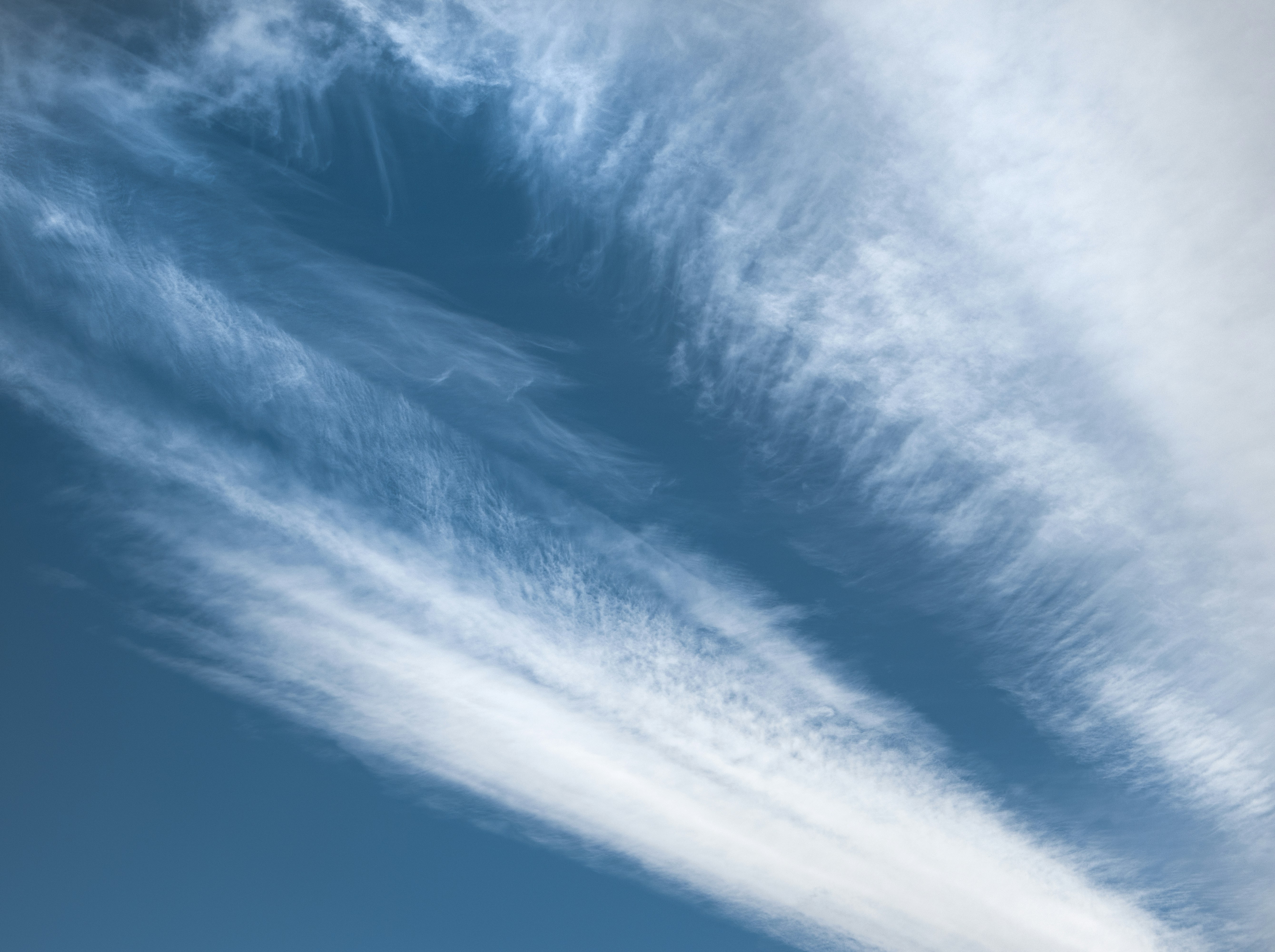 Photo by marko_lengyel