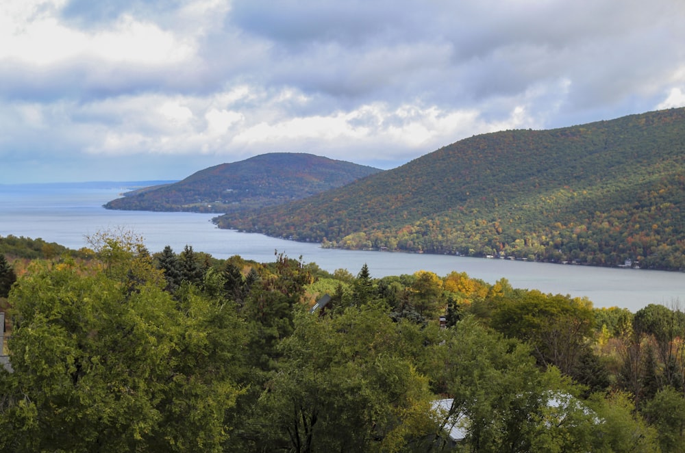 a scenic view of a lake surrounded by trees