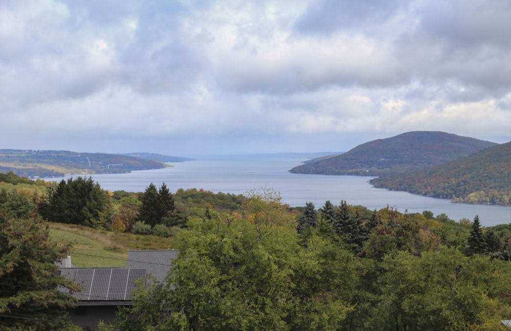 a view of a body of water surrounded by trees