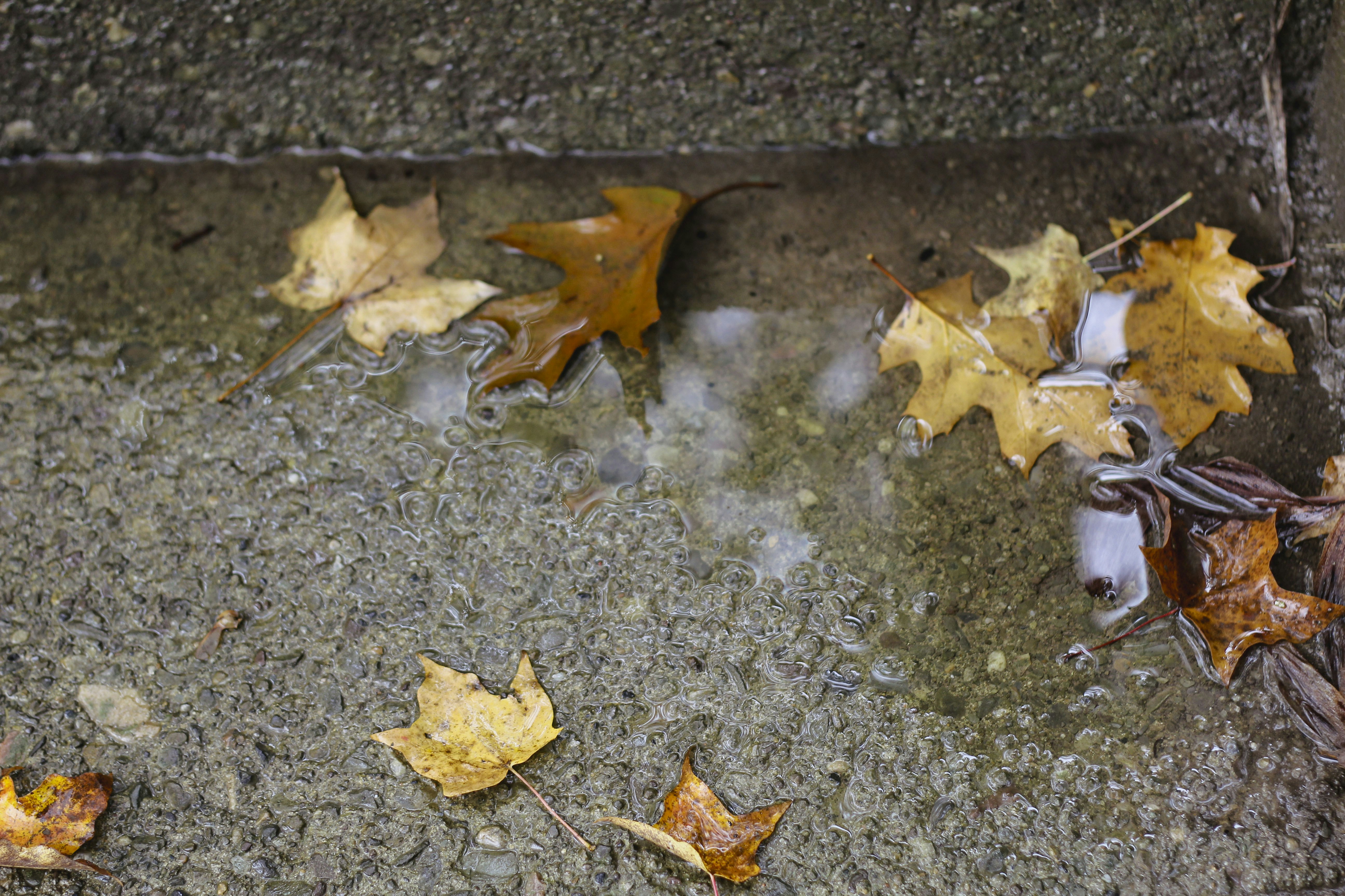 a fire hydrant spewing water onto a sidewalk