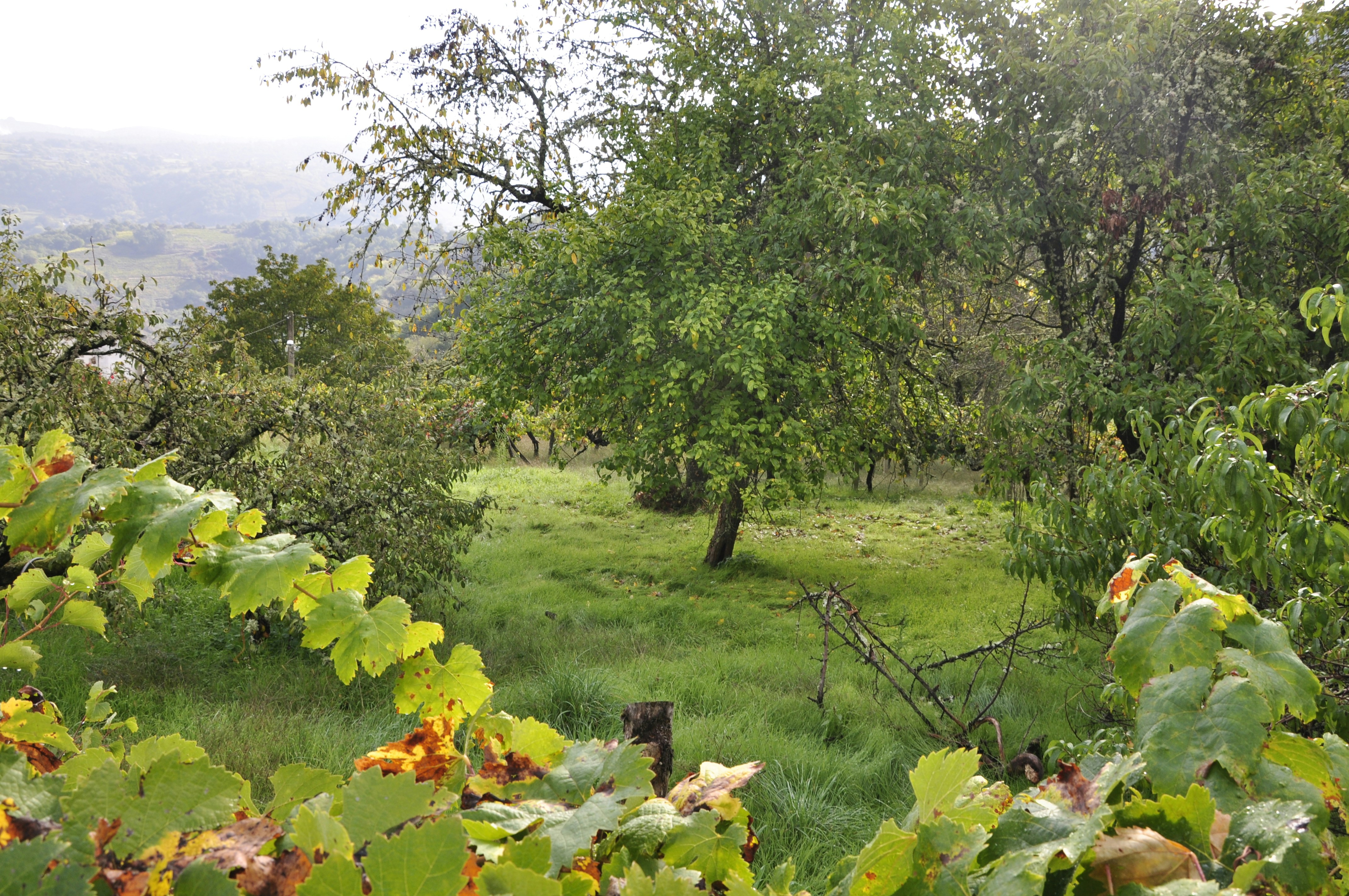 Photo by balbona_andrea