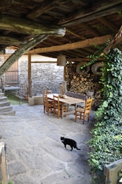 An outdoor patio area with a wooden dining table and chairs under a rustic wooden roof. A stack of firewood is neatly arranged against a stone wall in the background. Ivy climbs the surrounding walls, and a black and white cat walks across the stone floor. Natural light illuminates the space, creating a cozy atmosphere.