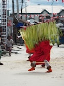A person wearing a vibrant traditional costume with long green palm leaves covering their upper body and a red skirt. They are participating in a street performance or festival, with a small gathering of people observing. The setting includes local houses with corrugated metal roofs and festive decorations, such as red and white flags.
