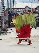 A person wearing a vibrant traditional costume with long green palm leaves covering their upper body and a red skirt. They are participating in a street performance or festival, with a small gathering of people observing. The setting includes local houses with corrugated metal roofs and festive decorations, such as red and white flags.
