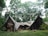 An abstract structure blends into a lush forest environment, constructed from corrugated materials and framed by tall trees. The structure appears to have organic shapes and motifs, including sculptural figures, integrating art with nature.