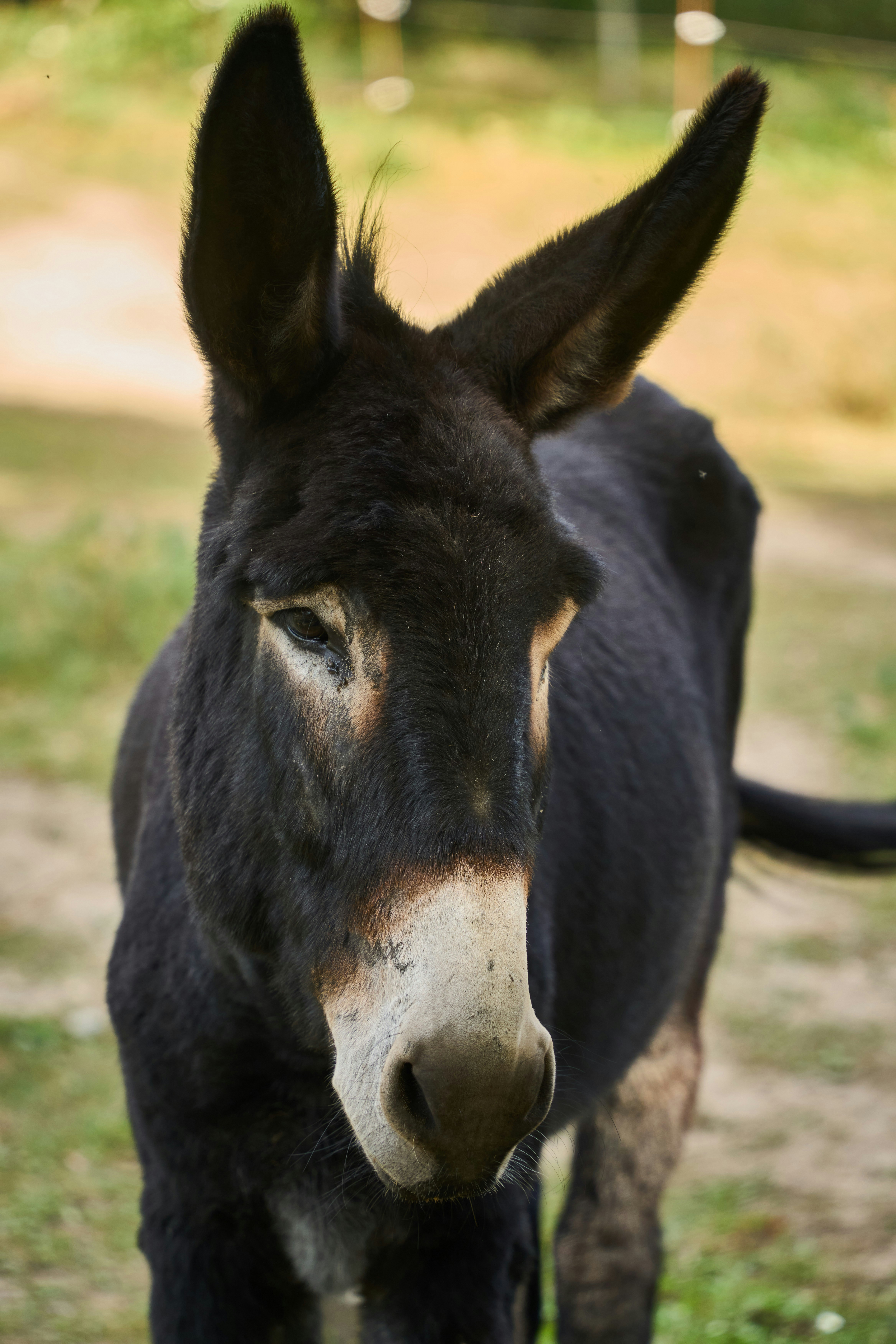 Photo by wolfgang_hasselmann