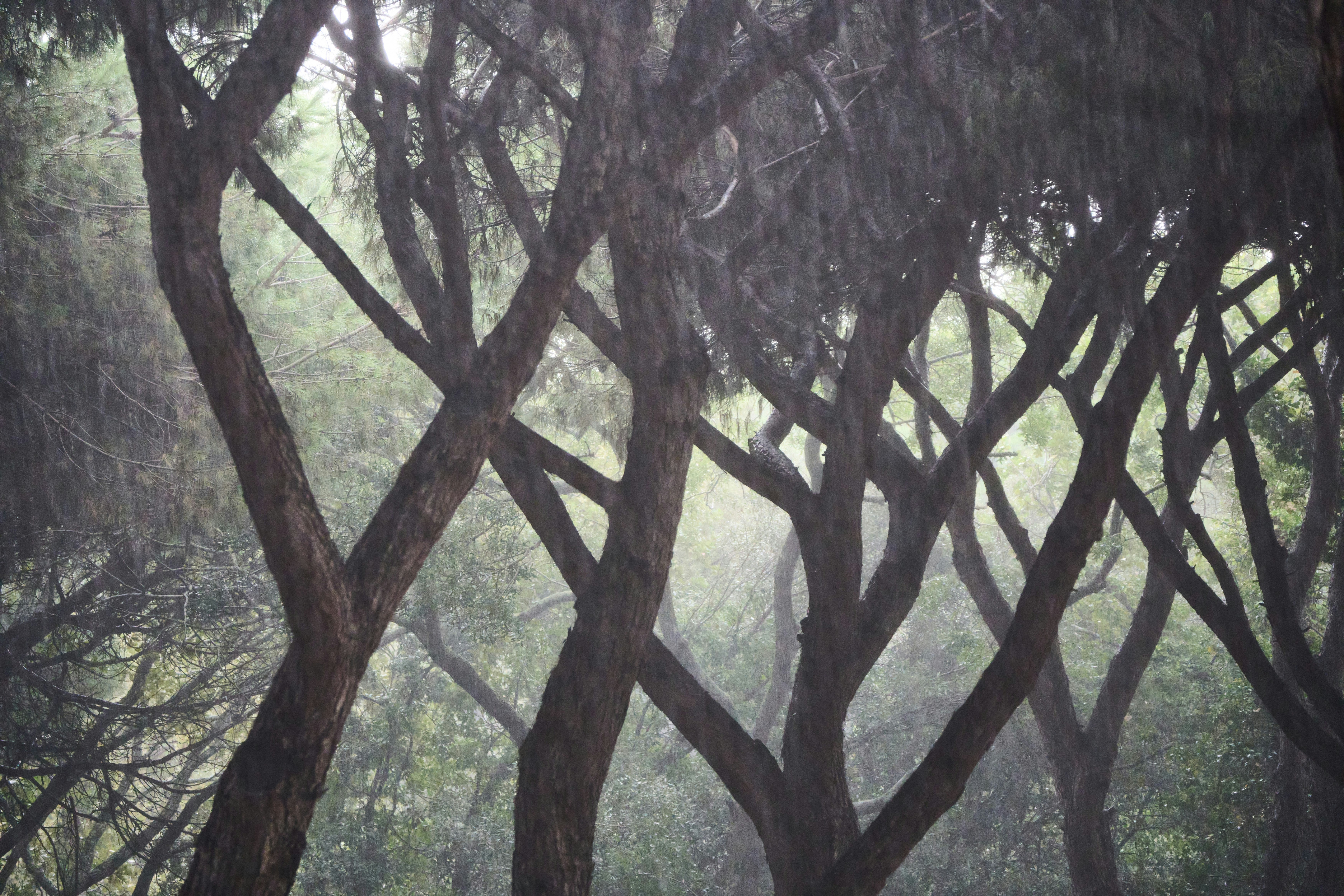 Photo by wolfgang_hasselmann