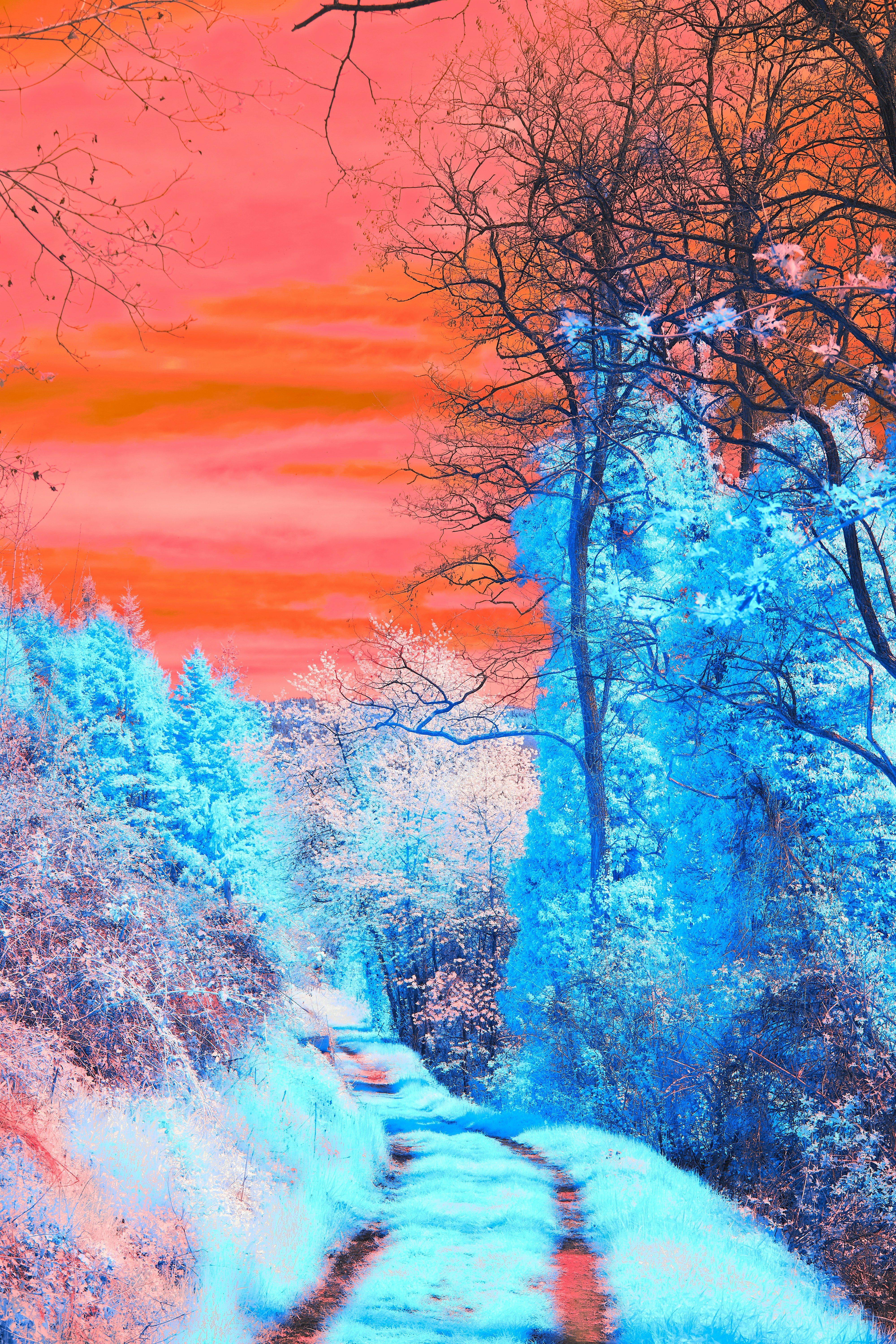 Photo by wolfgang_hasselmann