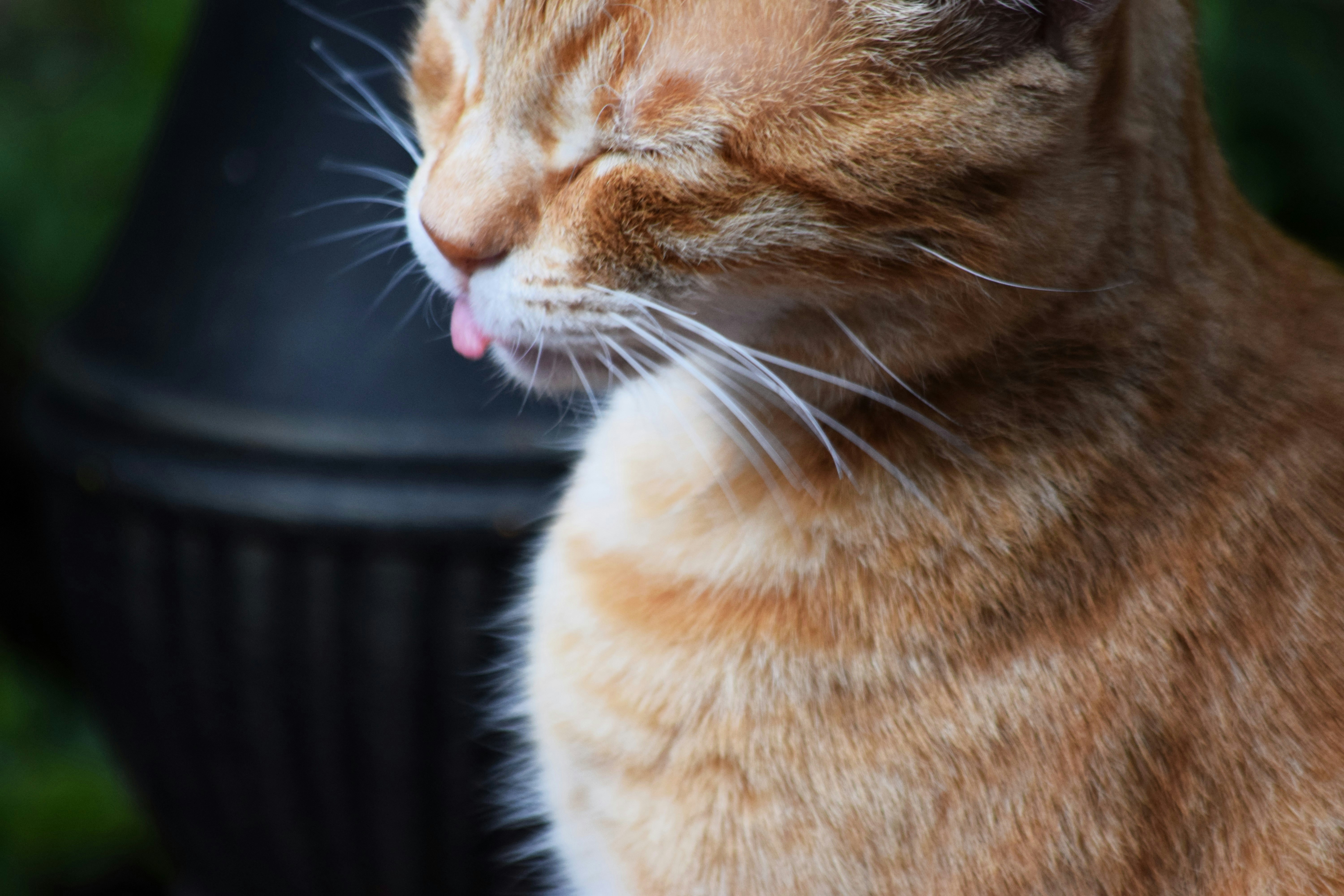 Photo by fr0ggy5_fr0ggy5