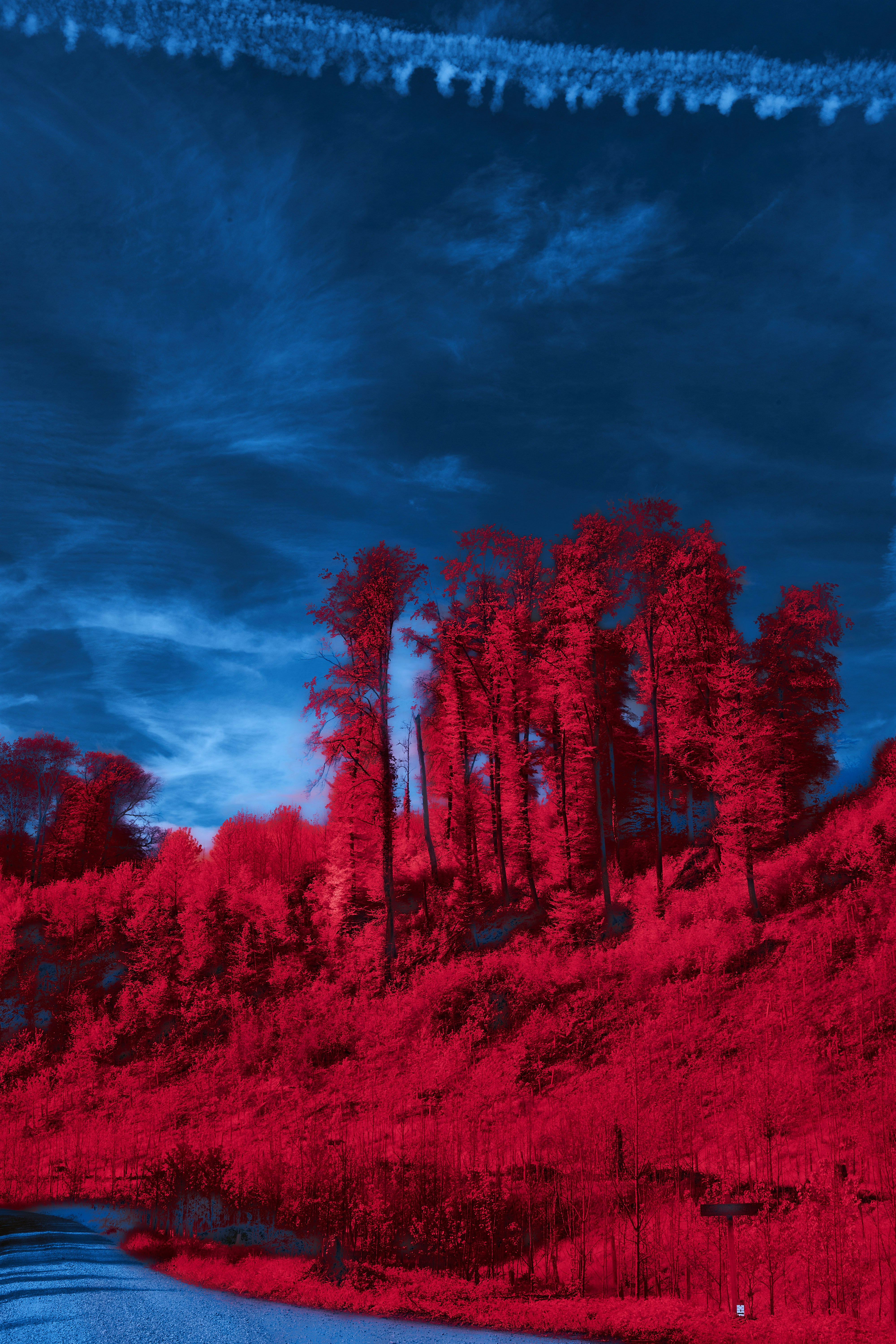 Photo by wolfgang_hasselmann