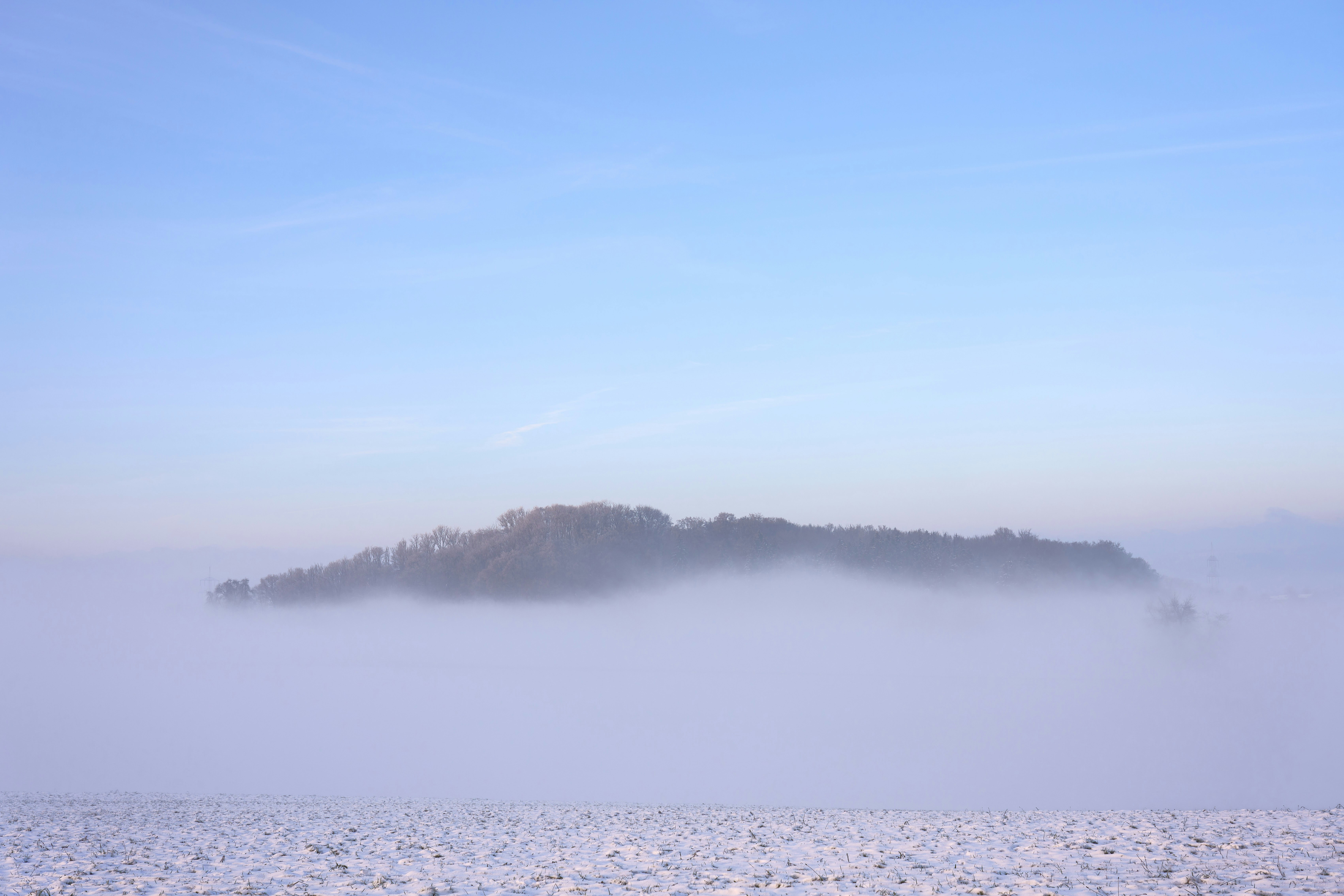 Photo by wolfgang_hasselmann