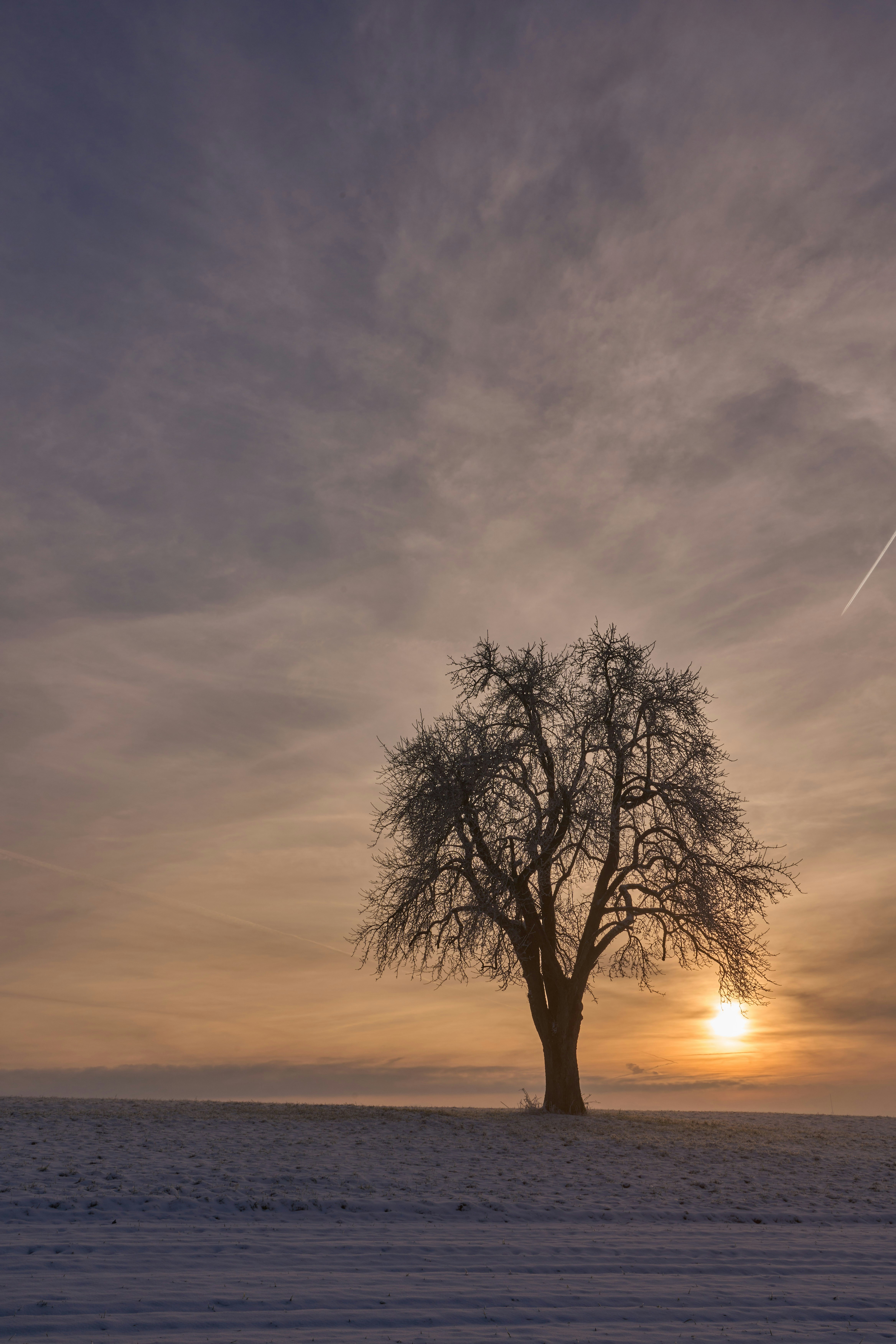 Photo by wolfgang_hasselmann