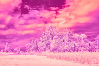 A dreamy purple landscape with whimsical elements.
