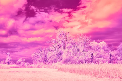 A dreamy purple landscape with whimsical elements.