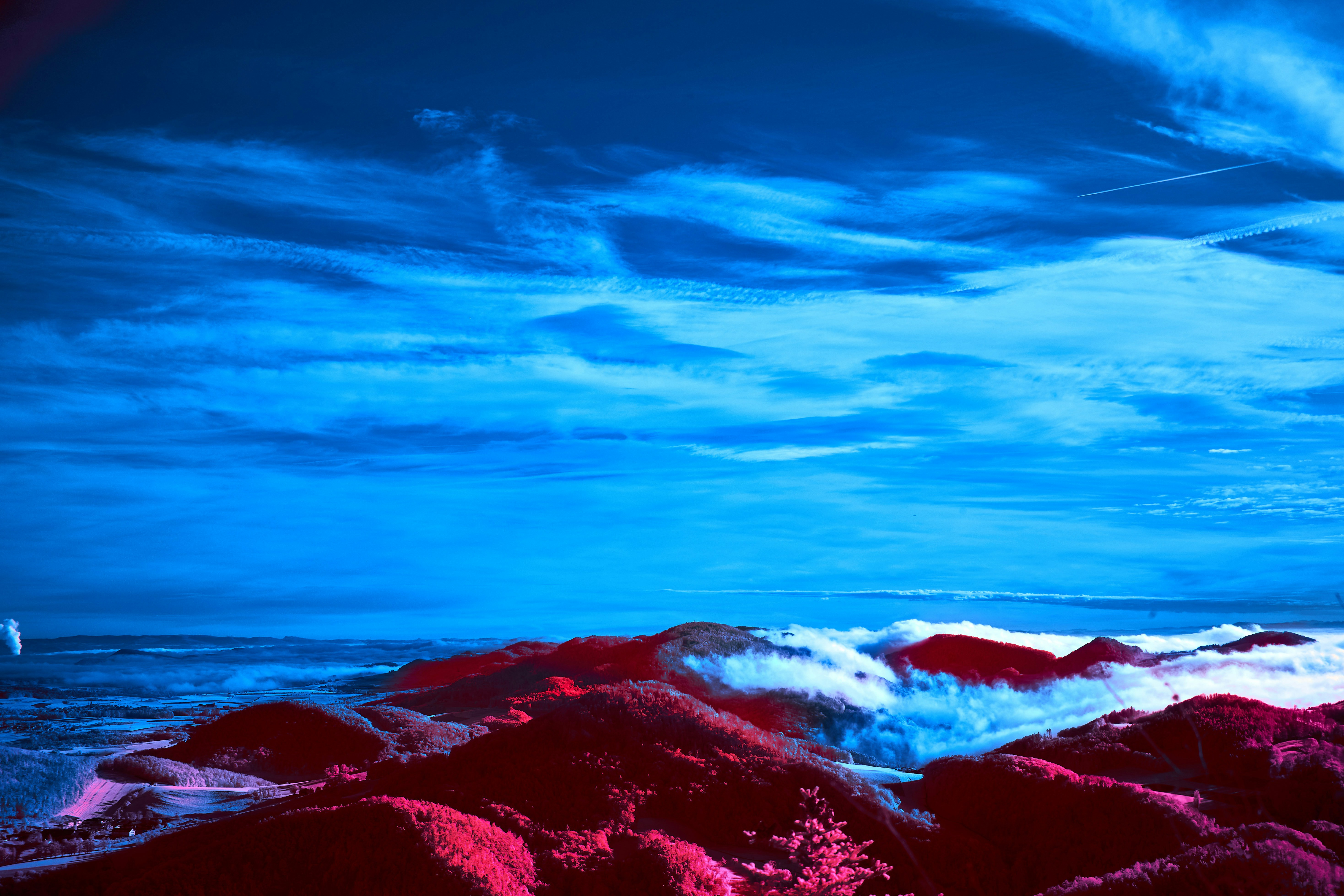 Photo by wolfgang_hasselmann