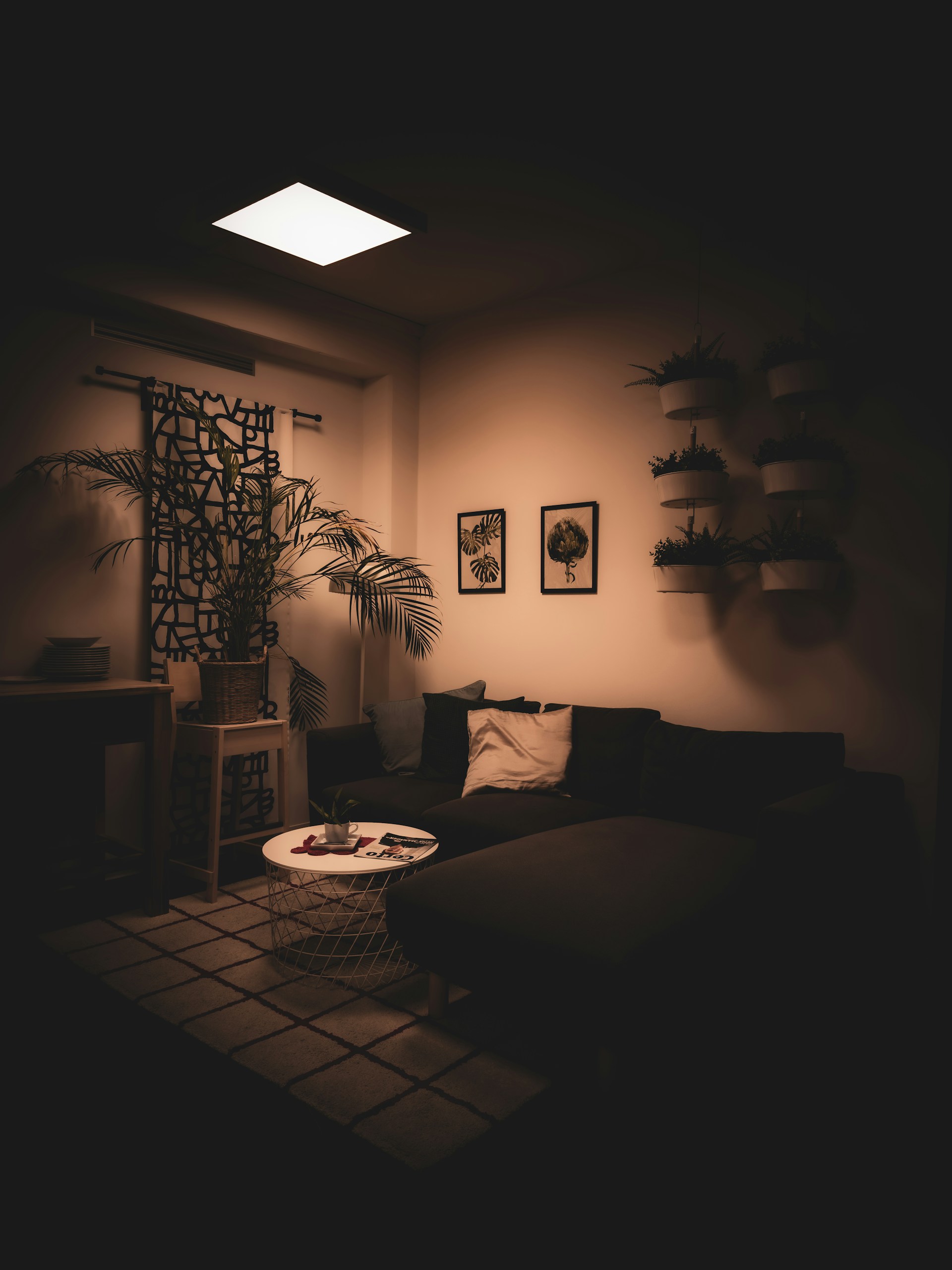 woman holding dried flower