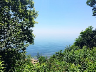 A serene landscape with calming green and blue hues.