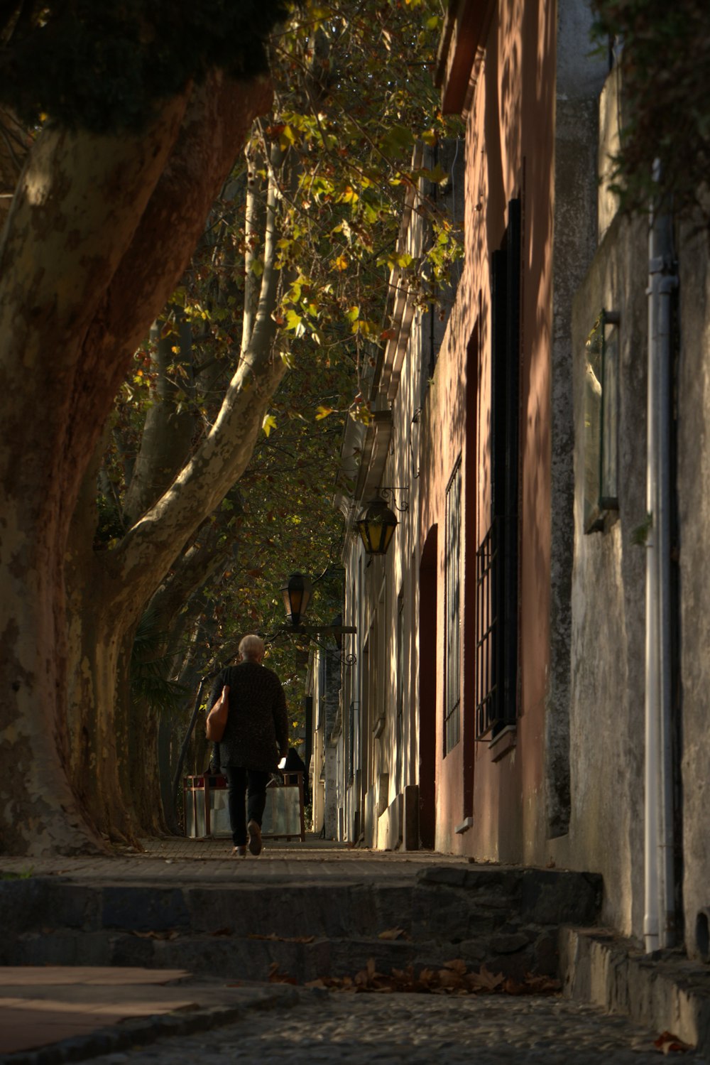 una persona caminando por una calle junto a un árbol