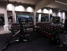 Used weight machines neatly arranged in a bright fitness studio